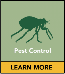 St Georges Pest Control